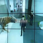 AR(qing)F(xin)(sh)g(sh)(chung)½̌W(xu)w(yn)