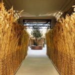 r(nng)I(y)չdO(sh)Ӌ(j)_Ô(sh)ֶýwO(sh)Ӌ(j)˼·