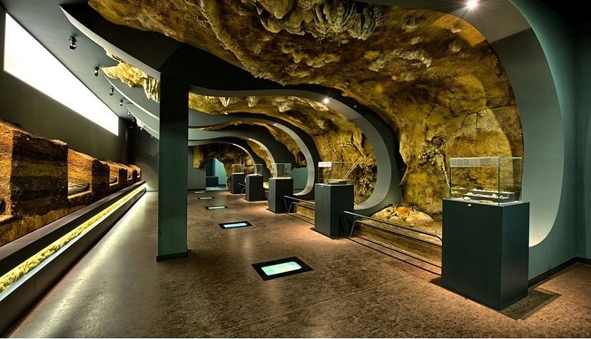 自然博物館空間布局 自然博物館空間布局效果展示