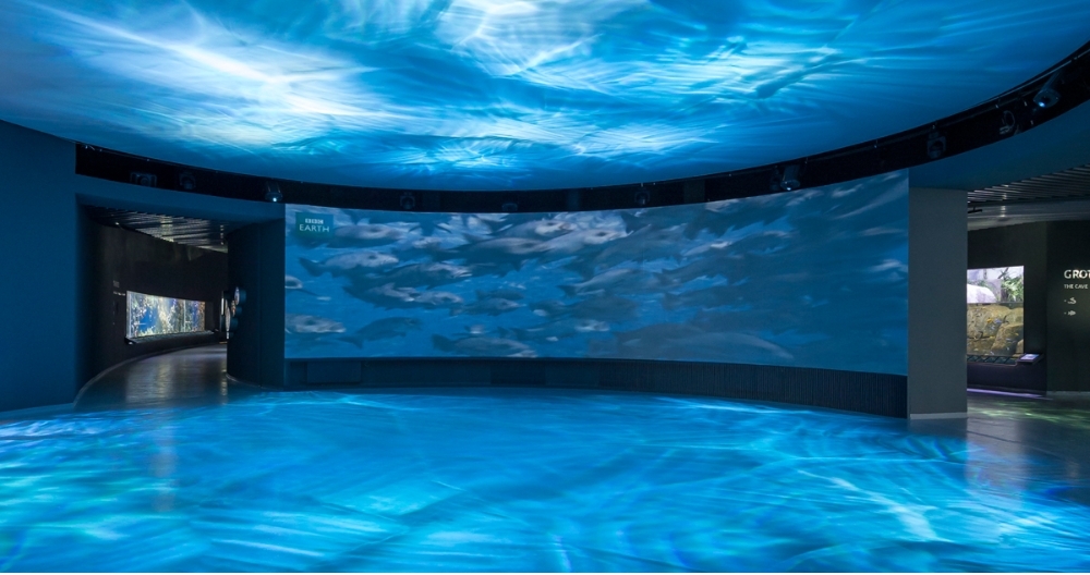 沉浸式空間 弧幕投影技術營造的沉浸式空間