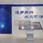 Ӻϵy(tng)Щ(chung)³ʬF(xin)ʽ