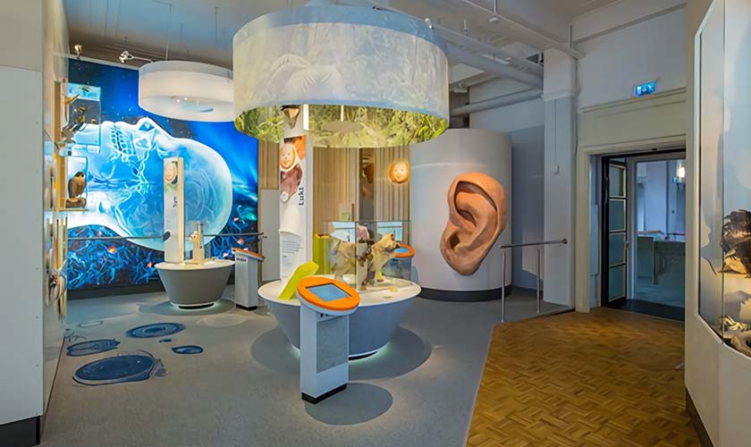 多媒體互動(dòng)元素 兒童科普館中的多媒體互動(dòng)元素