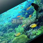 滥(dng)ͶӰ̘I(y)cЧ