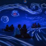 l(f)P(gun)עĳʽչ[չʾg漰Щg(sh)