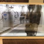 ͸LEDڃ(yu)Ñw(yn)߂Щ(chung)(yu)(sh)