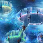 NΑB(ti)đͶӰg(sh)(xing)Ŀοw(yn)