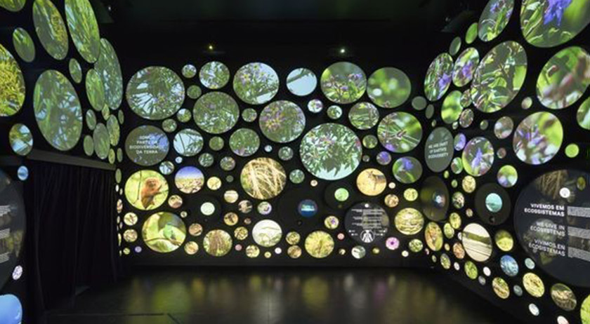 投影互動裝置 投影互動裝置