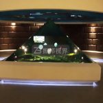 ȫϢͶӰչڵخa(chn)չdеĄ(chung)(sh)`_ȫҕXw(yn)r(sh)