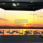 ƻMF(xin)F(xin)Ƽ^OӋ𺳿Ƽй֮