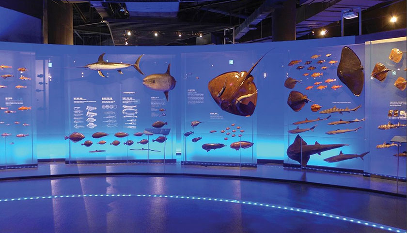 科普展館透明LED展項(xiàng) 科普展館透明LED展項(xiàng)