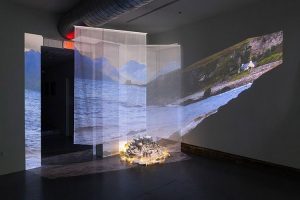 ĻͶӰĶ(chng)(yng)ЩɹֵýbcW(xu)(x)