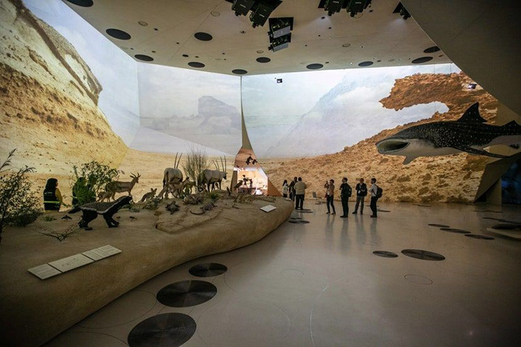 農(nóng)耕博物館中的投影展項(xiàng)