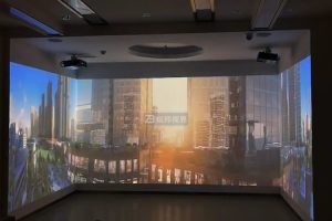 չd(dng)ͶӰЩʽ2025Týwչ(xing)